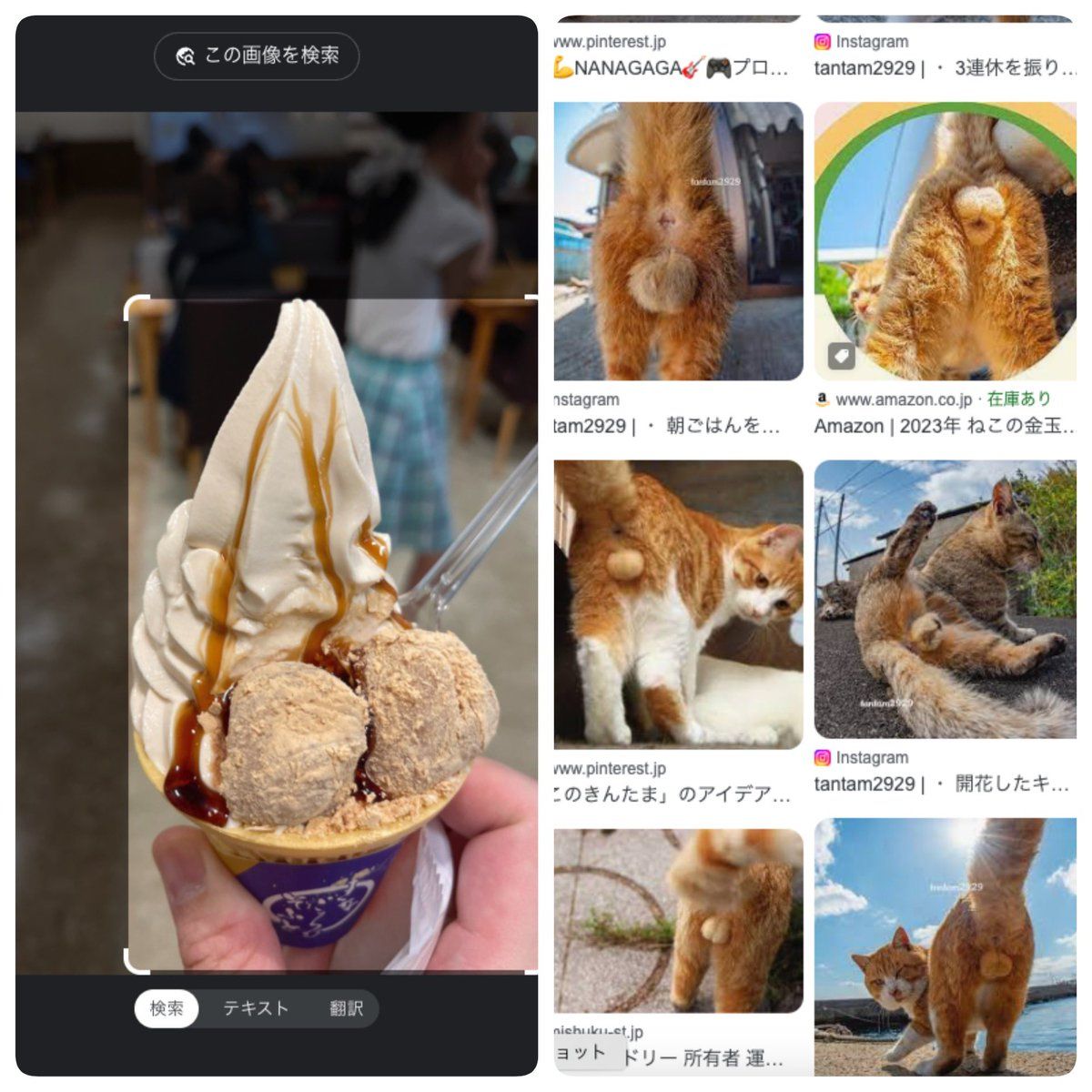 Ice-Cream Search Result